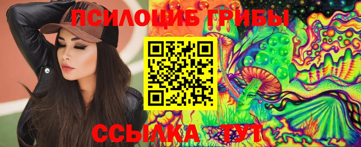 Псилоцибиновые грибы Cubensis Котлас